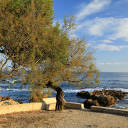 Mallorca - Cala Ratjada 04