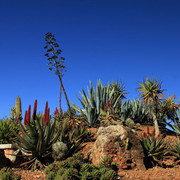 Mallorca - Botanicactus 01