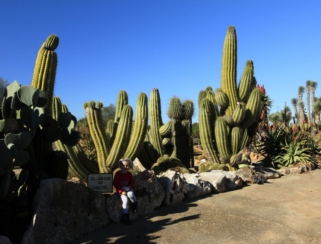 Mallorca - Botanicactus 03