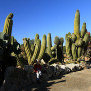 Mallorca - Botanicactus 03