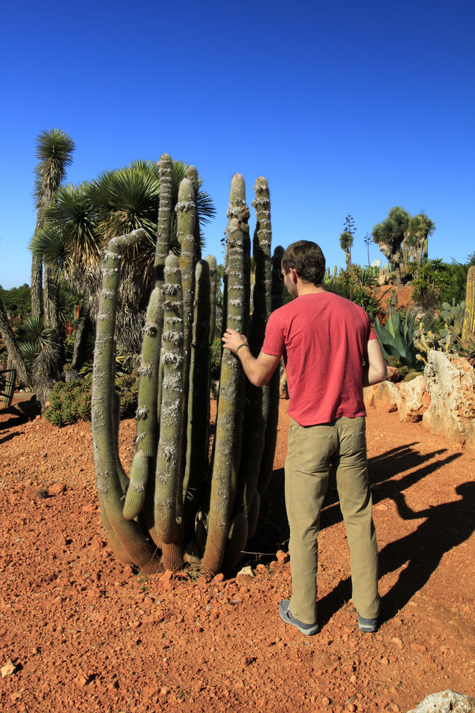 Mallorca - Botanicactus 05