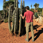 Mallorca - Botanicactus 05