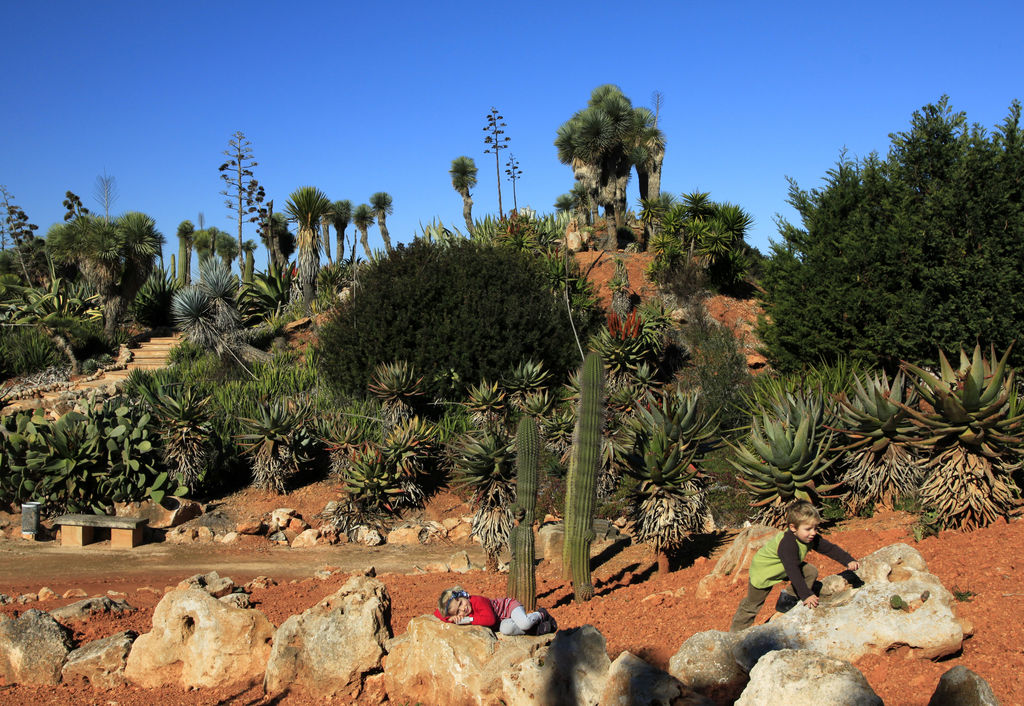 Mallorca - Botanicactus 06