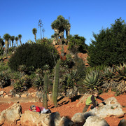 Mallorca - Botanicactus 06