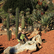 Mallorca - Botanicactus 07