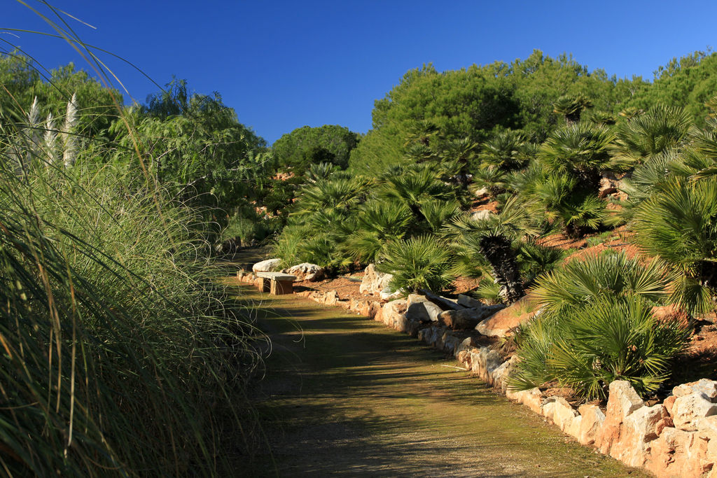 Mallorca - Botanicactus 15