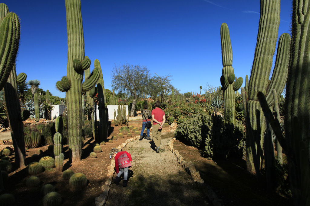 Mallorca - Botanicactus 18