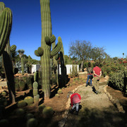 Mallorca - Botanicactus 18