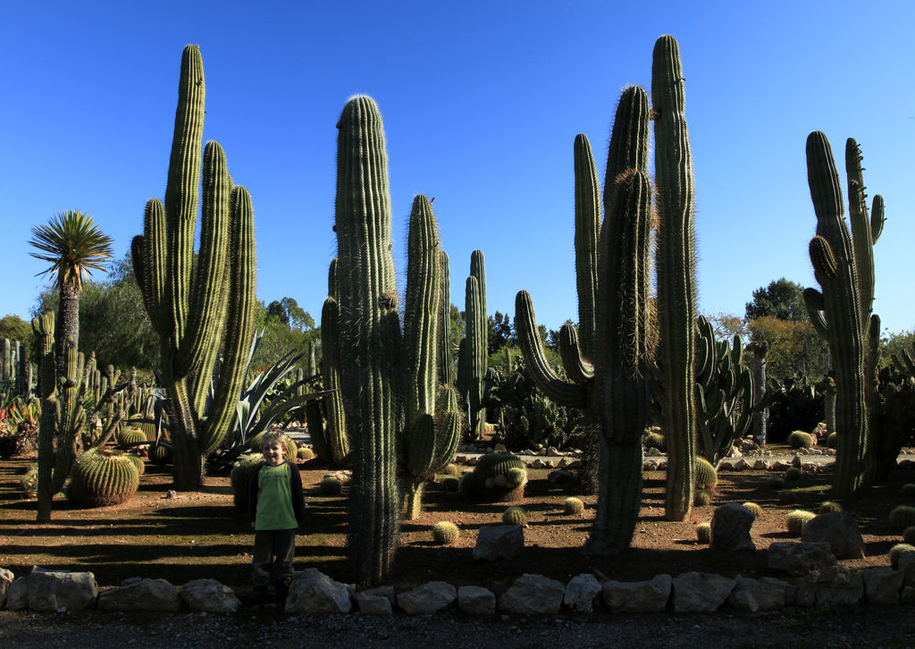 Mallorca - Botanicactus 19