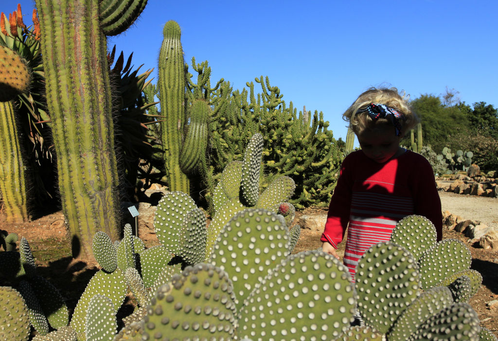 Mallorca - Botanicactus 32