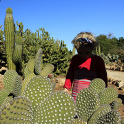 Mallorca - Botanicactus 32