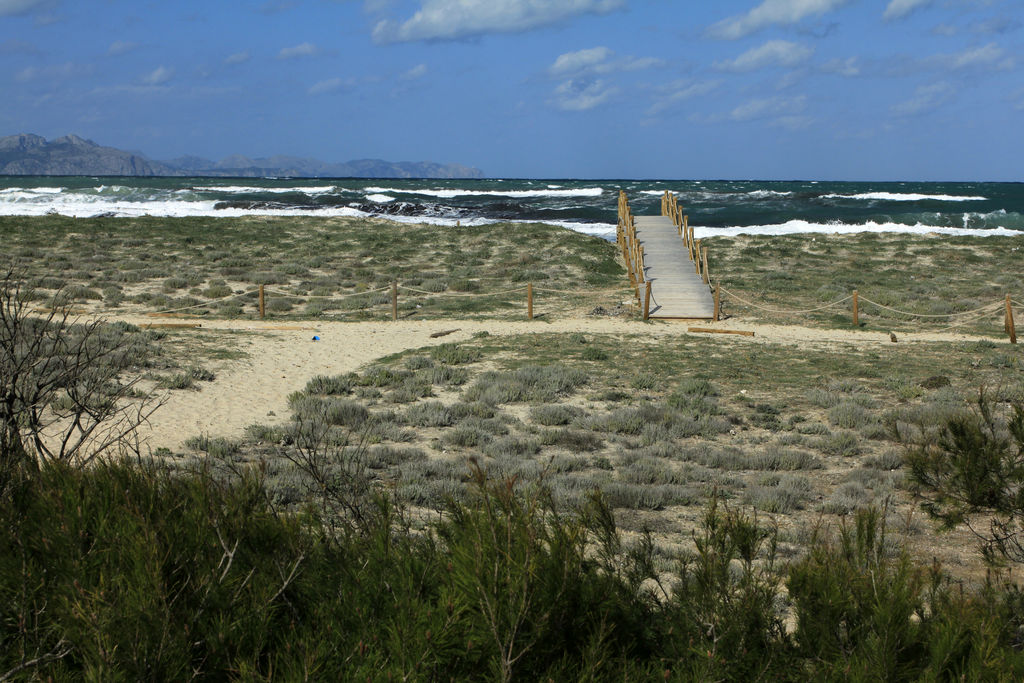 Mallorca - Sa Canova beach in winter