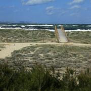 Mallorca - Sa Canova beach in winter