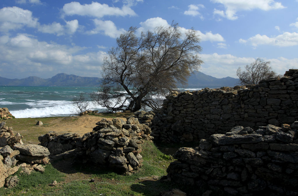 Mallorca - ruins in Son Real 04