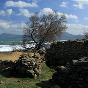 Mallorca - ruins in Son Real 04