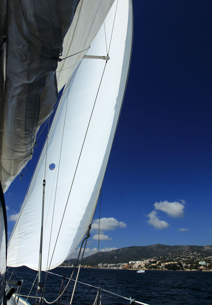 Sailing in the Bay of Palma de Mallorca 15