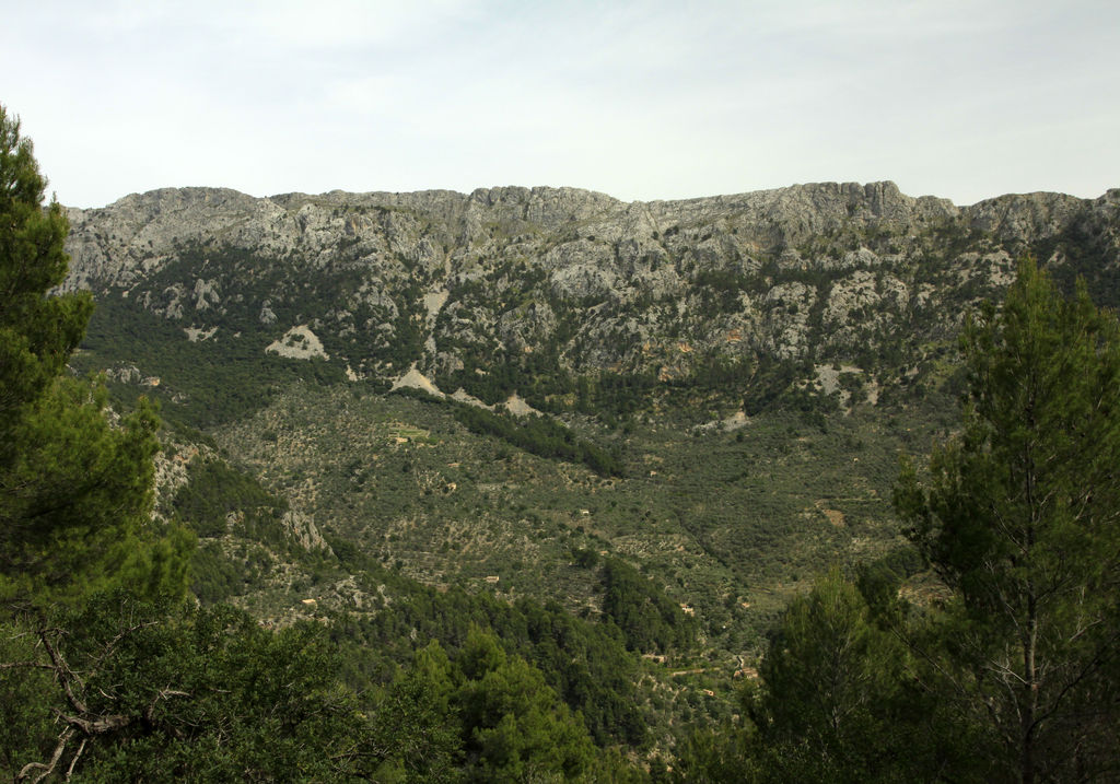 Mallorca - Fornalutx 03