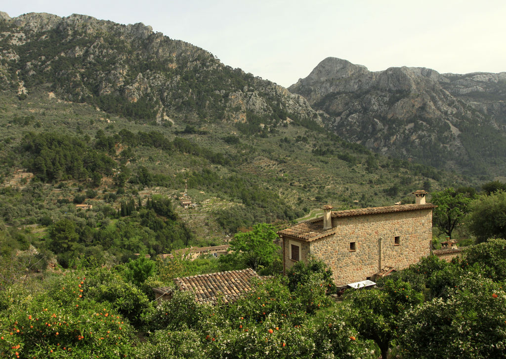 Mallorca - Fornalutx 05