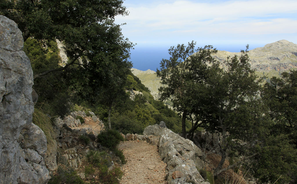 Mallorca - Lluc valley 01