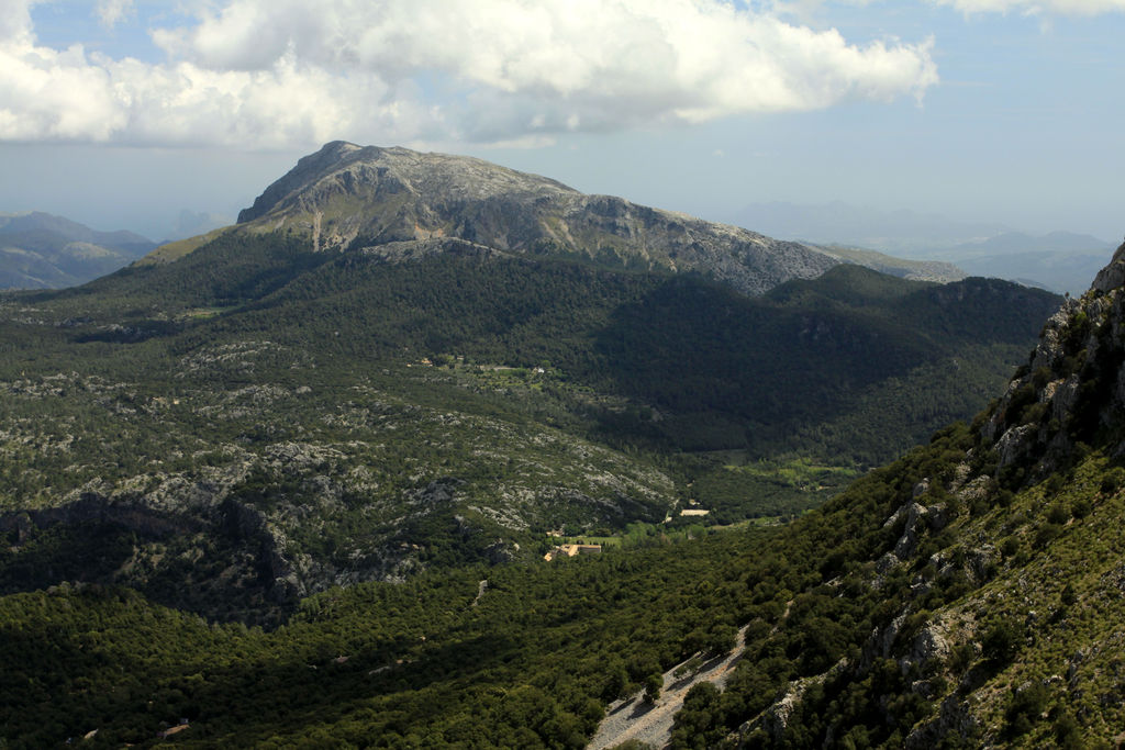 Mallorca - Lluc valley 05