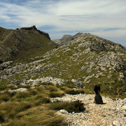 Mallorca - Marieke in Lluc valley