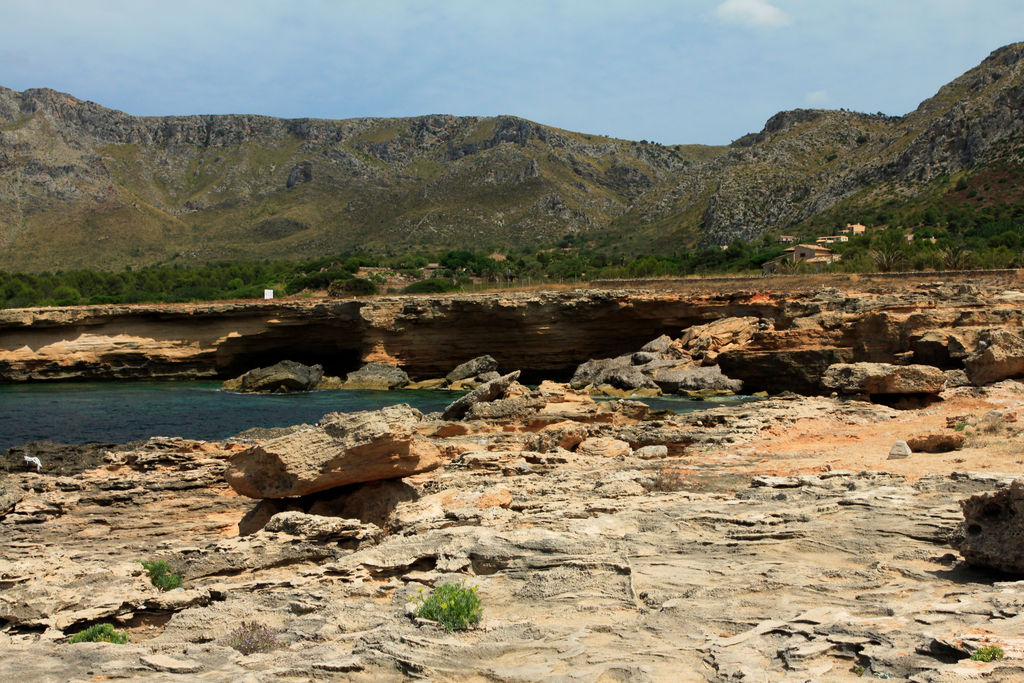 Mallorca - Colonia de Sant Pere - Ca Los Cans 05