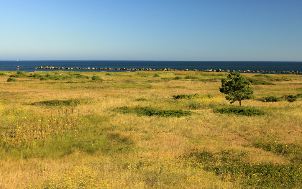 The beach of “The Quebrantos” 11