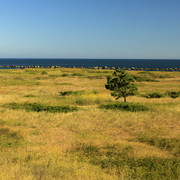 The beach of “The Quebrantos” 11