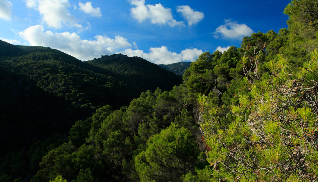 Mallorca - mountains above Santa Maria del Cami