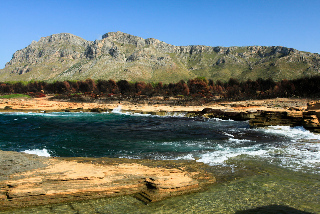 Mallorca - Cala los Camps after the fire 02