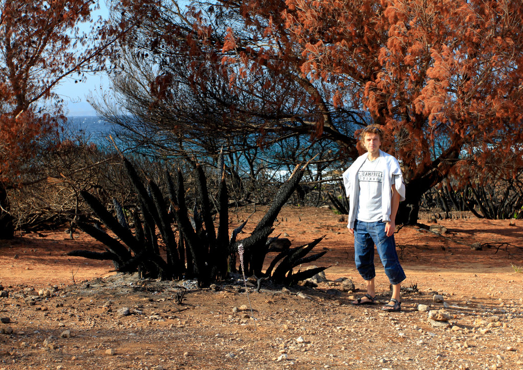 Mallorca - Cala los Camps after the fire 16