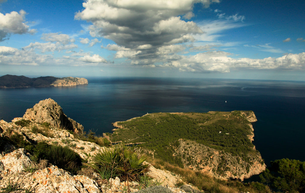 Mallorca - Victoria peninsula 15