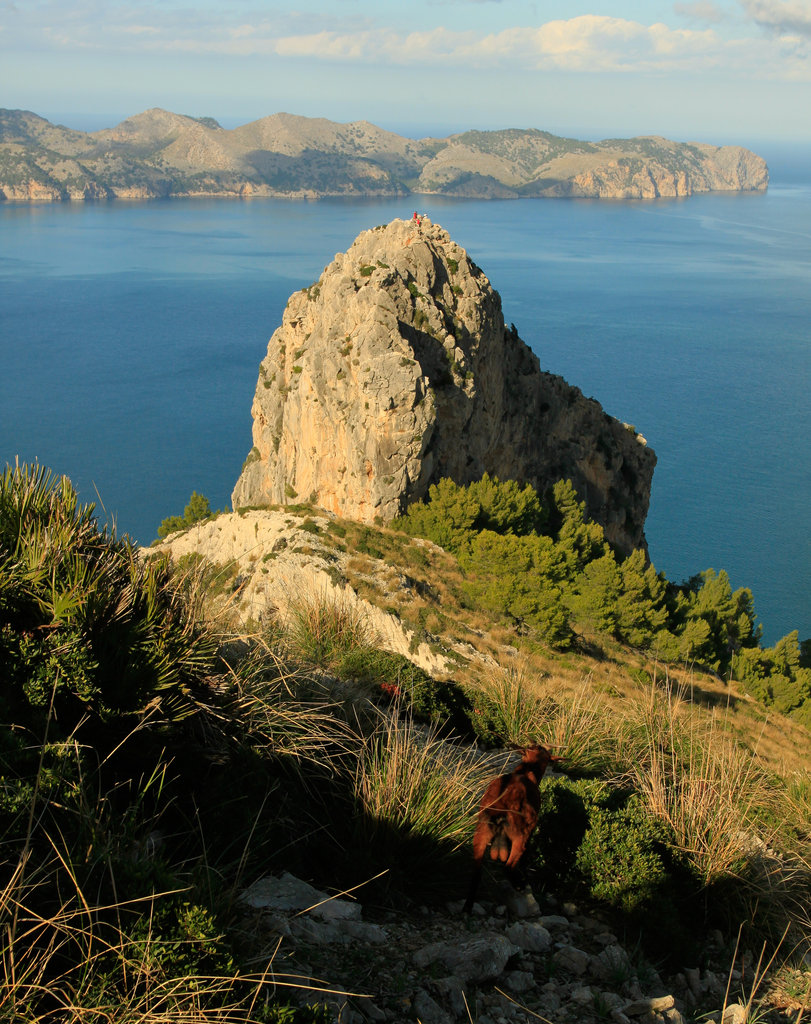 Mallorca - Victoria peninsula 17