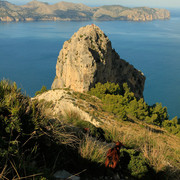 Mallorca - Victoria peninsula 17