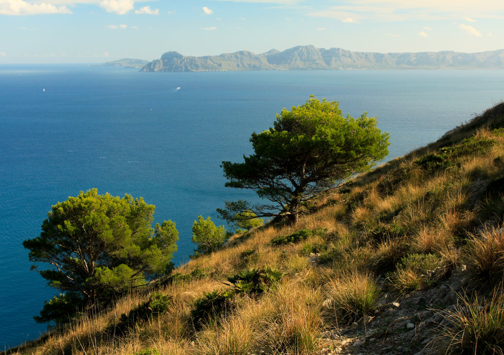 Mallorca - Victoria peninsula 19