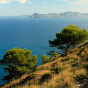 Mallorca - Victoria peninsula 19