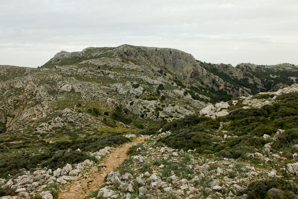 Mallorca - trekking around Valldemosa 04