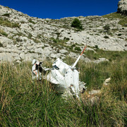 Circuit of the Puig des Tossals Verds - the wreckage of an airplane