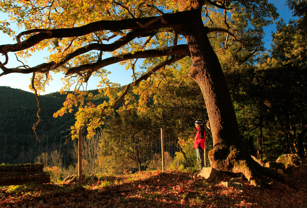 Spanish Pyrenees - Can Met in Poli 11