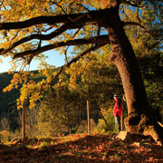 Spanish Pyrenees - Can Met in Poli 11