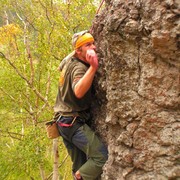 Czechia - Climbing in Kozelka 093