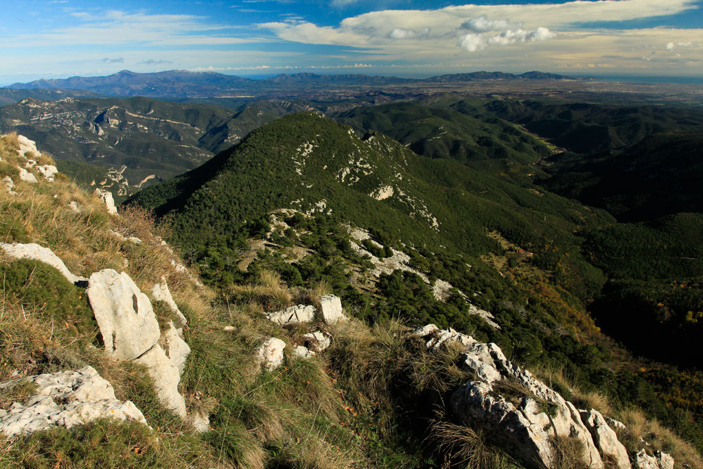 Spanish Pyrenees - Puig de Bassegoda 07