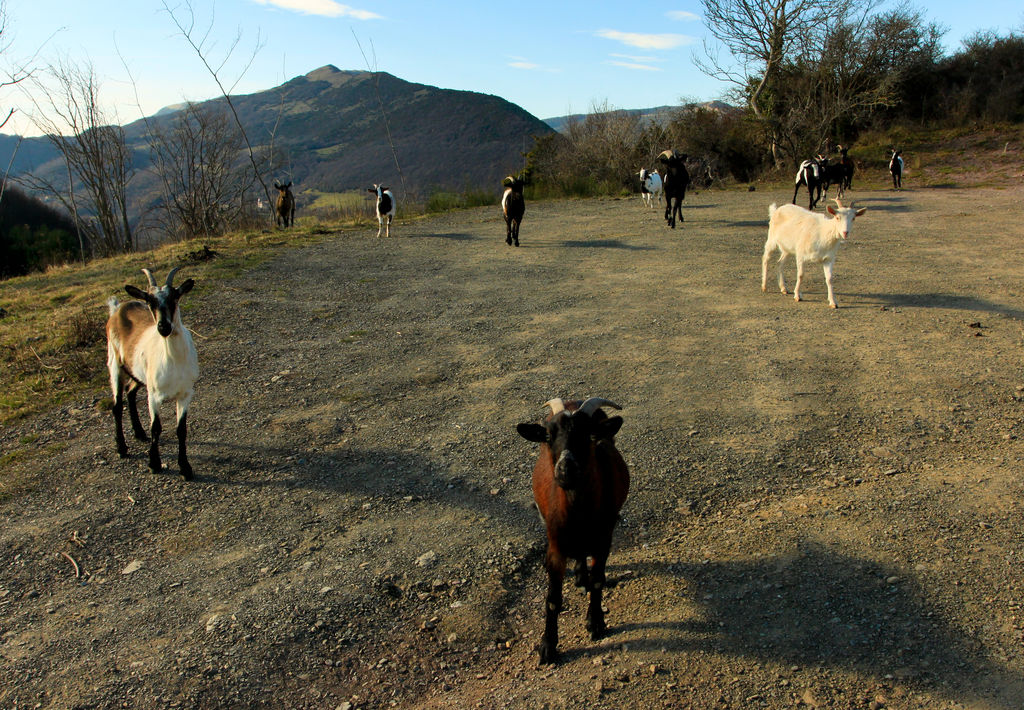 Spanish Pyrenees - Camprodon 10