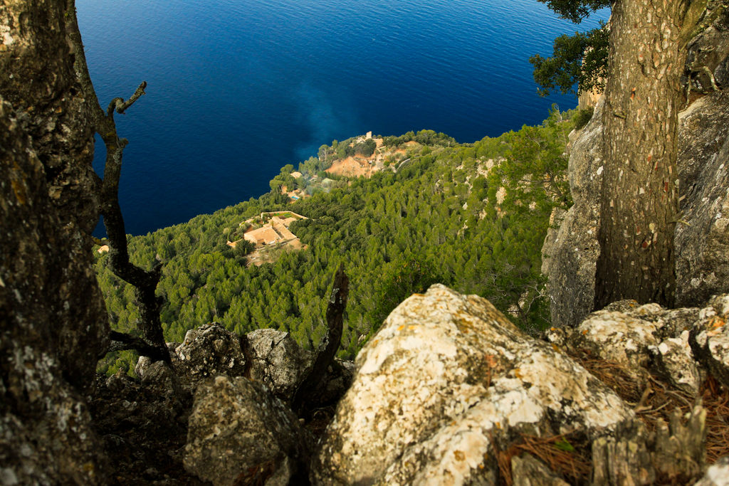 Majorca - Valldemosa - Arxiduc trek 01