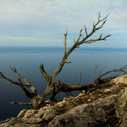 Majorca - Valldemosa trek 02