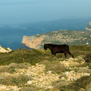 Majorca - Valldemosa trek 05