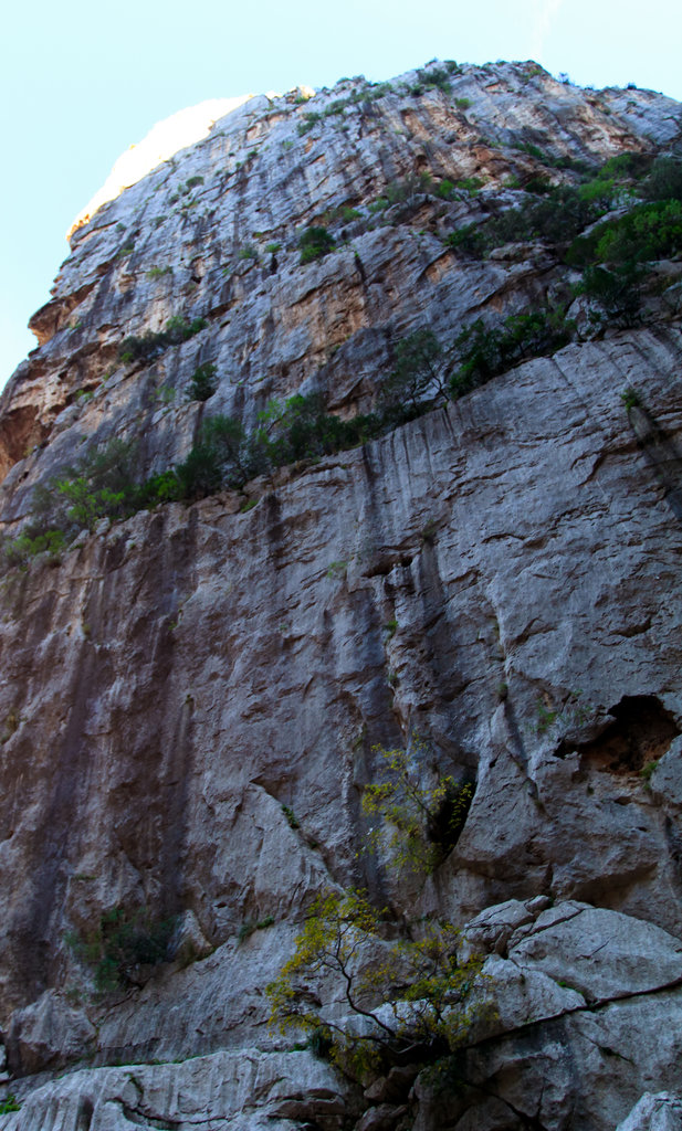 Mallorca - Torrent de Pareis 06