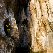 Mallorca - Torrent de Pareis 07