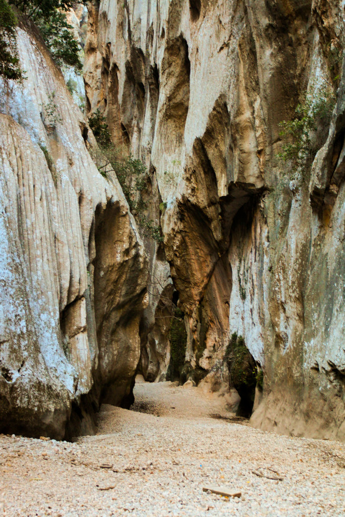 Mallorca - Torrent de Pareis 41