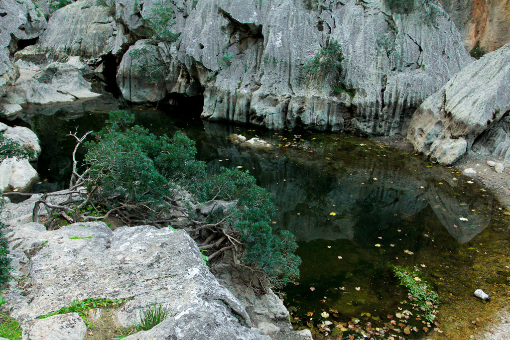 Mallorca - Torrent de Pareis 46